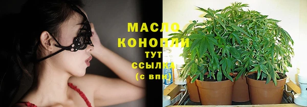 не бодяженный Гусев