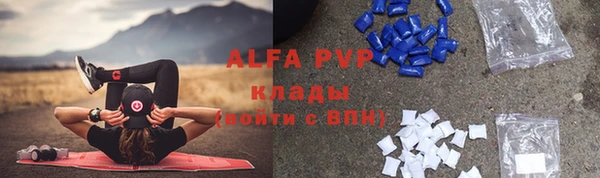 гидра Алексеевка