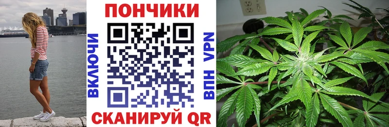 Бошки марихуана тримм  закладки  Северская 